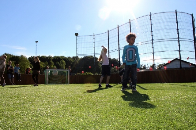 Lars Laj Gli attrezzi per lo sport, I campi multifunzionali