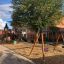 Parco giochi con struttura Baby Dragon rocking.