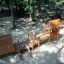 Galapagos wooden playhouse with slide in un'area giochi all'aperto ombreggiata