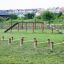 Percorso a ostacoli per l'allenamento dei cani con Agility Mini Jump Bars su un campo erboso.