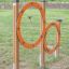 Attrezzatura da esercizio all'aperto Agility Double Hoop Jump per cani in un'area erbosa