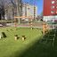 Obstacle course in un'area giochi con reti di corda e strutture da arrampicata.