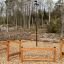 Attrezzatura da gioco all'aperto Obstacle Course Stepping Logs in un ambiente naturale boschivo.