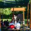 Picnic Shelter w/ Blackboard rifugio per aula all'aperto con studenti e insegnante