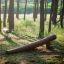 Struttura in legno Ramp per parco giochi per bambini tra gli alberi