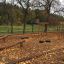 Attrezzatura da parco giochi in legno Ramp circondata da foglie autunnali in un parco.