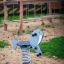 Walrus rocking su molla in un parco giochi.