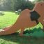 Attrezzature da parco giochi per bambini Camel single slide in un parco