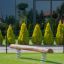 Balance - trave di equilibrio in legno per parco giochi con molle in un ambiente da giardino