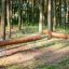 Trave di equilibrio in legno per parco giochi chiamata Balance in un ambiente forestale.