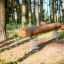 Trave di equilibrio in legno per parco giochi con supporti a molla in una foresta.
