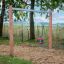 Nature Double Swing in un contesto di parco