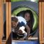 Bambino e donna che giocano su King-Kong Nature II castle with slide