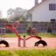 Attrezzatura da parco giochi rossa SeeSaw con sedili e maniglie su un campo sportivo