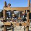 Bambini che giocano su Sherwood wooden playhouse.