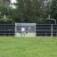 Stamford Bridge campo sportivo con persone che giocano a calcio e basket all'aperto.