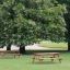 Larchwood Table & Bench in un contesto di parco sotto alberi in fiore.