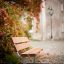 Bench, Steel Construction in un suggestivo giardino autunnale.