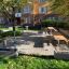 Area picnic all'aperto con Table & Bench su una superficie pavimentata in un parco.