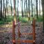 Ponte di equilibrio per bambini Kongo in un parco giochi nel bosco.
