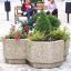 Fioriera in pietra con diverse piante e fiori, due bambini seduti su una panchina di legno sullo sfondo