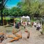 Struttura in legno Gobi per arrampicata ed equilibrio in un'area parco all'aperto