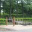 Hammock installazione in un parco giochi nel bosco.