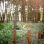Attrezzatura da esercizio in legno all'aperto nella foresta, Single Somersault Nature.
