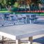 Concrete table tennis, free-standing in un parco all'aperto con sfondo sfocato.