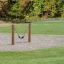 Swing seat: Flexi seat in un contesto di parco con pali di legno.