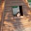 Bambino che si diverte all'interno di un Wigwam wooden house.