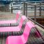 Moderna sdraio rosa vicino all'acqua con lo skyline della città sullo sfondo.