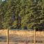 Nature Swing Frame (double swing) in un contesto di area giochi nel bosco.