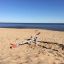 Altalena 'Et seesaw' su una spiaggia sabbiosa in riva al mare.