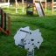 Sheep rocking in un parco giochi sull'erba verde con strutture da gioco sullo sfondo.
