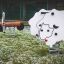 Sheep rocking in un parco giochi con base a molla.