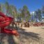 Parco giochi per bambini con castello gigantesco e scivolo rosso tra alberi alti