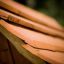 Tetto in legno di Nature Playhouse.
