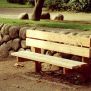 Real picture of Larchwood Bench 